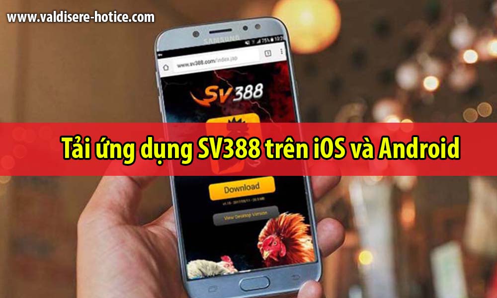 Tải ứng dụng SV388 trên iOS và Android